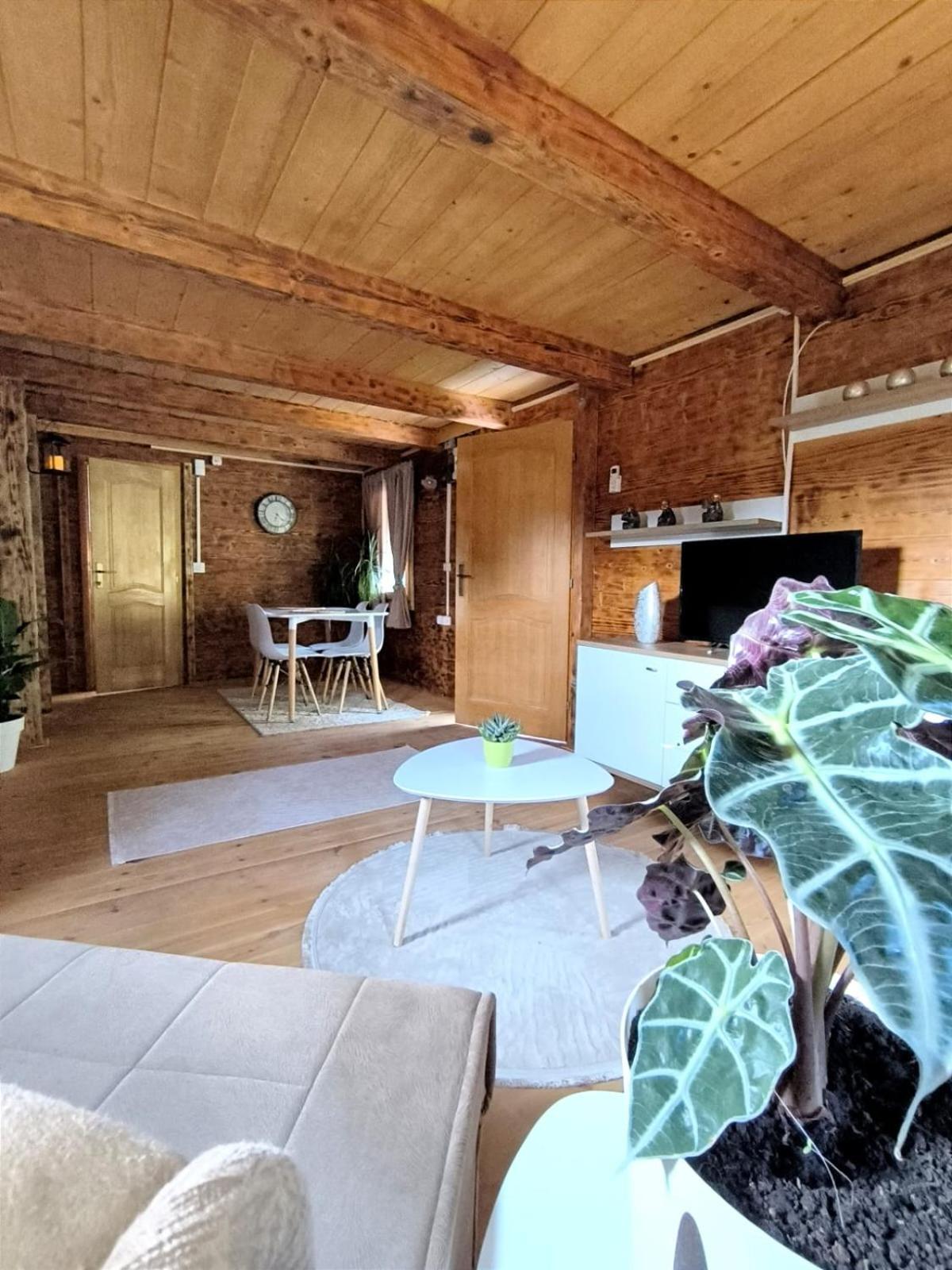 Virpazar Raj Kod Kumova Villa Rum bild